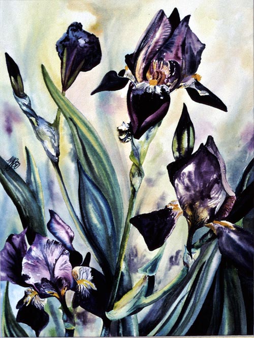 Irises_watercolor